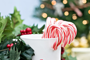 Candy canes sitting in a mug next to holly